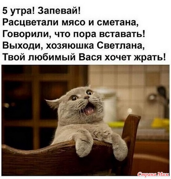 Котоюмор - 12