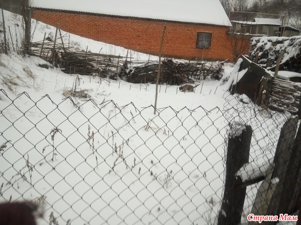 Не съем, так...