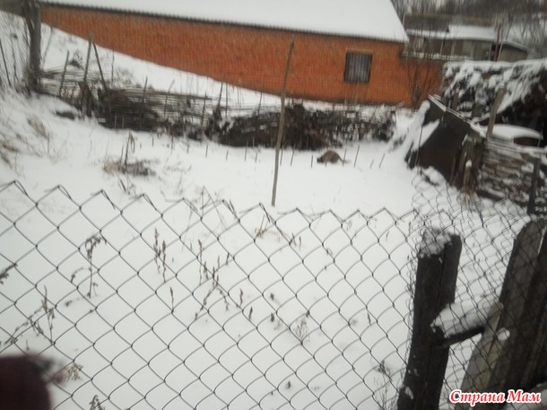 Не съем, так...