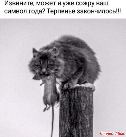  - 11