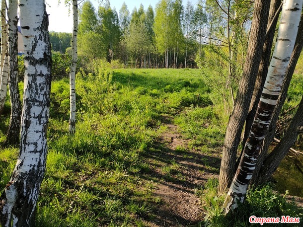 Время целительной медитации НАСТАЛО