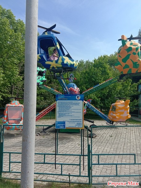 День нашей семьи.