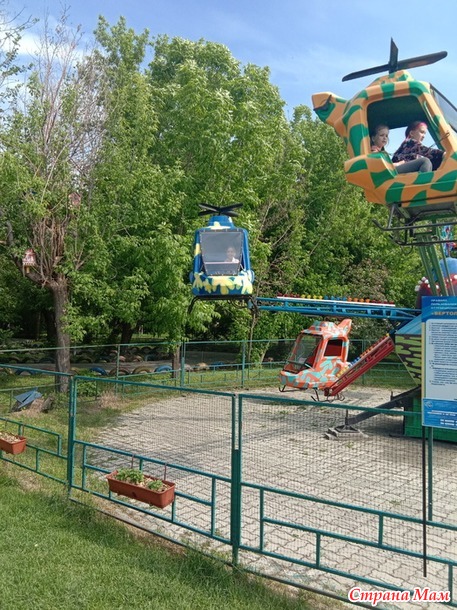 День нашей семьи.