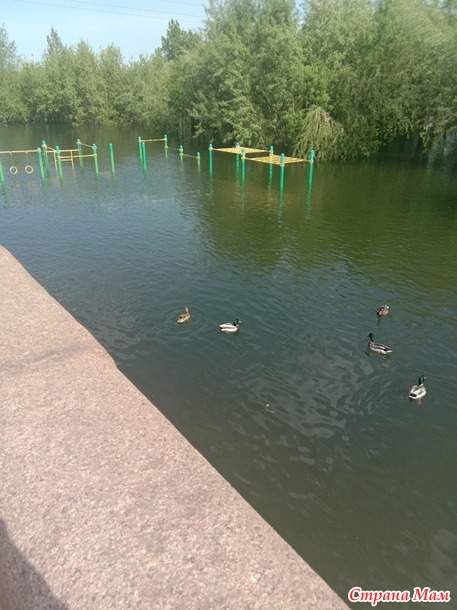 День нашей семьи.