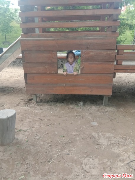 День нашей семьи.
