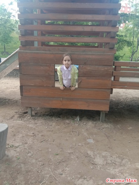 День нашей семьи.