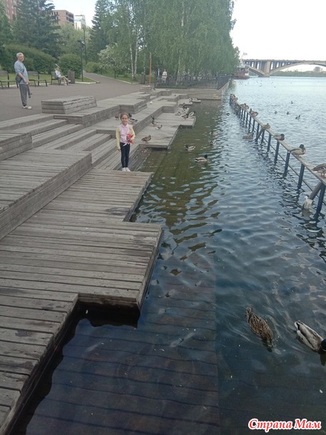 День нашей семьи.