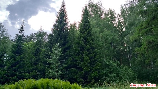 16.06.21