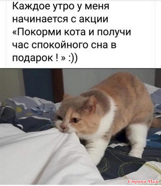 Чисто женское. 67