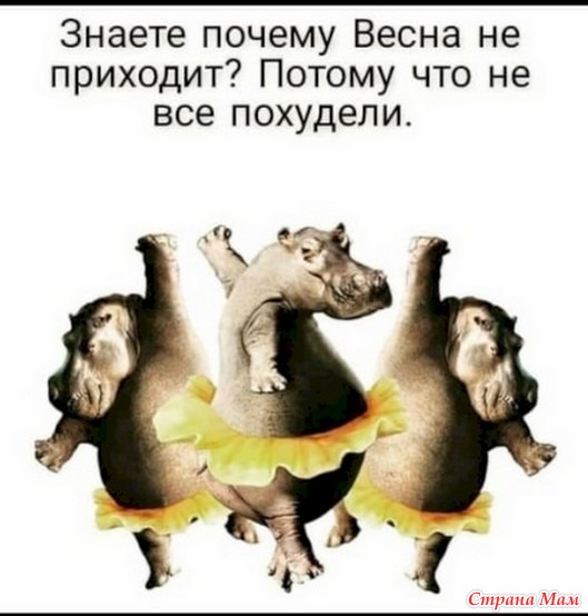 Про еду и про диету. 31