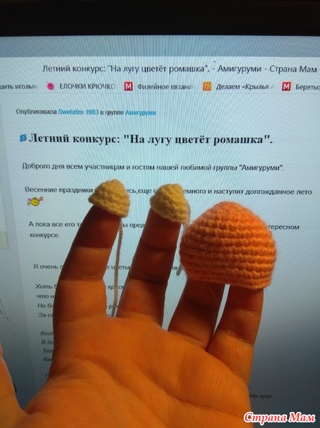 Жук на ромашке. На конкурс: "На лугу цветёт ромашка".