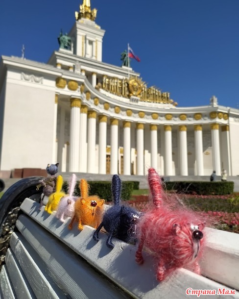 Эй, толстый!
