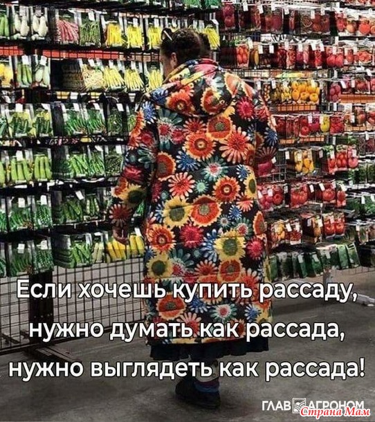 Минутка юмора в картинках)))