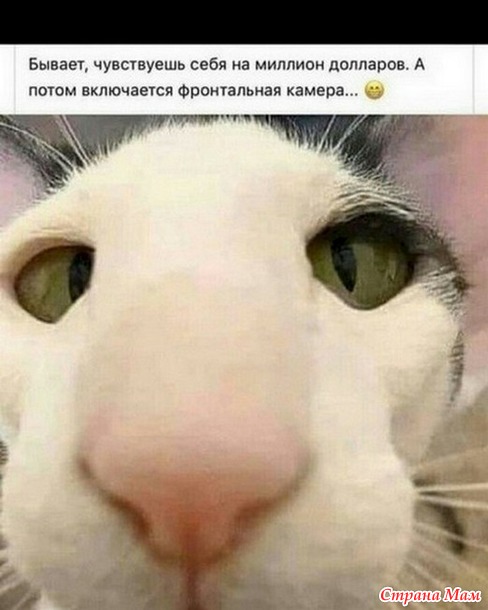 Чисто женское. 81