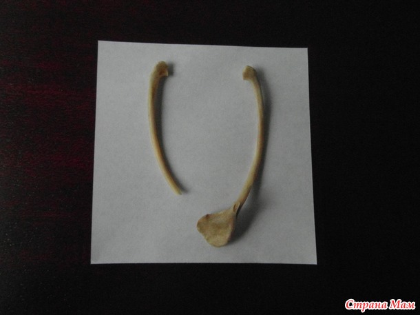 Игра из детства.