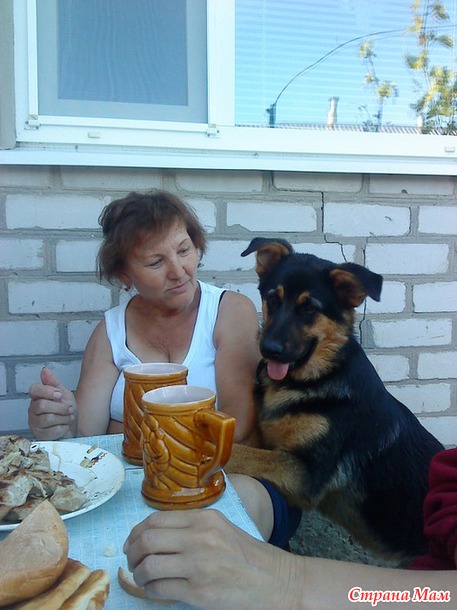 Барни больше нет