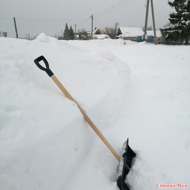 Зима! Просто фото 10.02.2022
