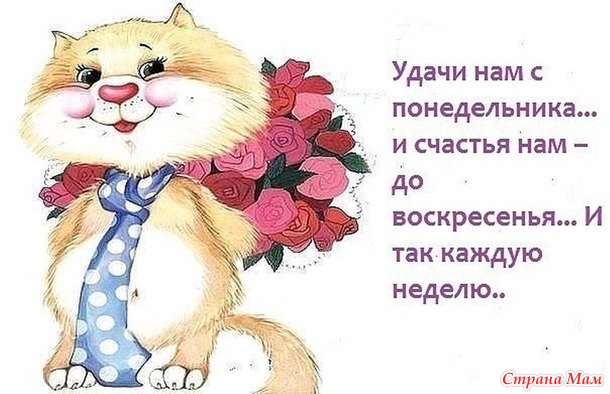 Цвет настроения оранжевый. Хвастливая неделька № 7