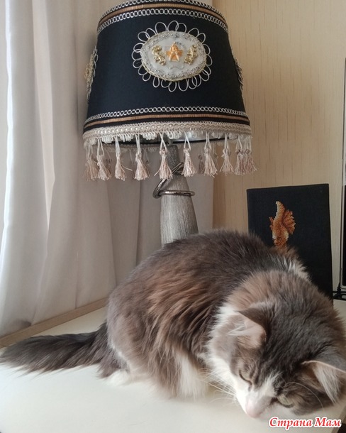 Про Севу... Есть ли память у Кота...