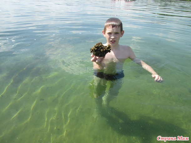 Нарочанский край.
