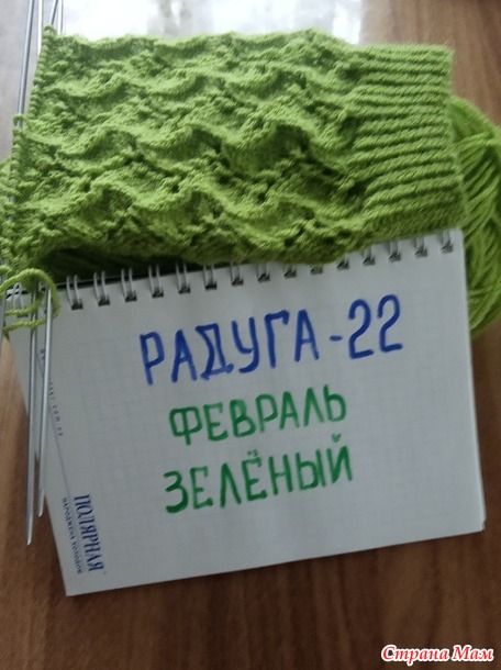 Радуга - 2022 Февраль. Отчет.