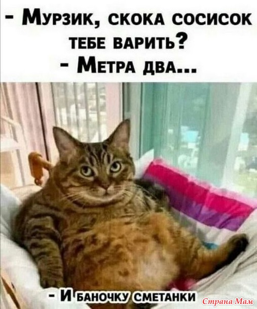 Котоюмор - 27
