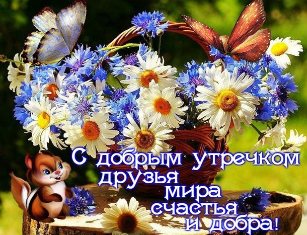Приходите в гости, на нас посмотреть и себя показать. Хвастливая неделька № 21.