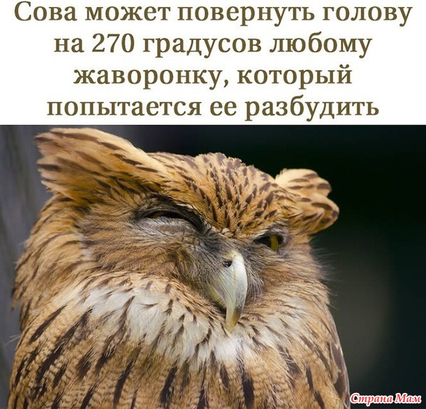 -, ,  ))
