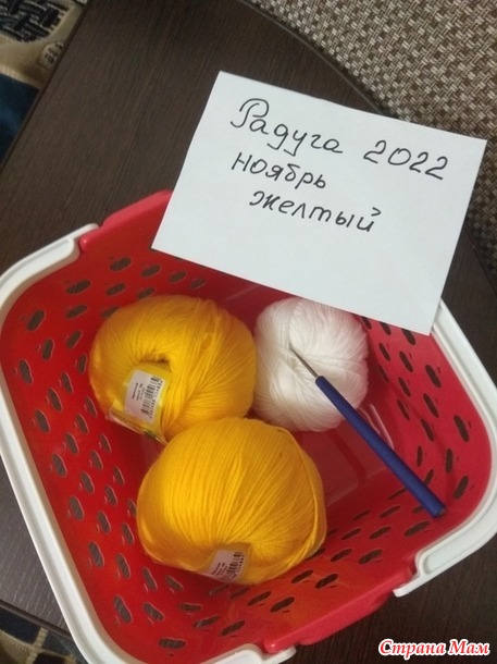 Радуга-2022. Ноябрь - желтый. Отчет 2