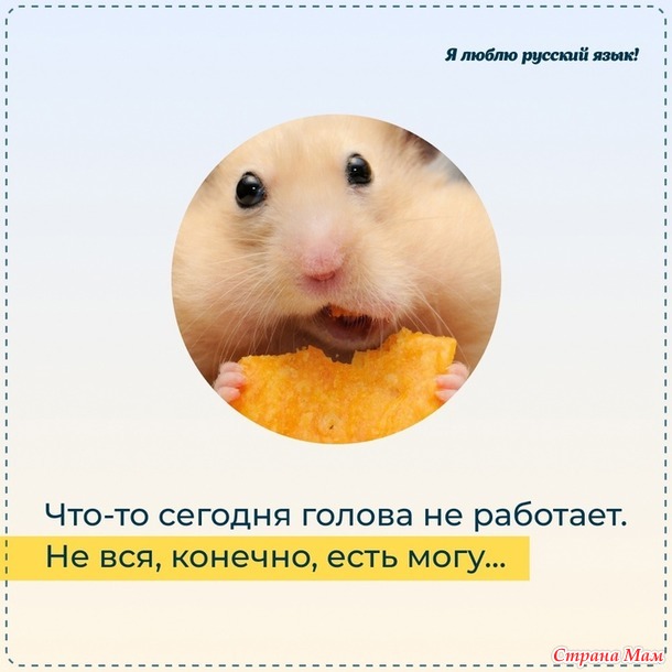  -  ))