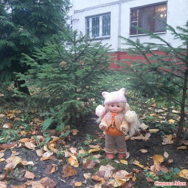 Прогулка со Златой 19.10.2022