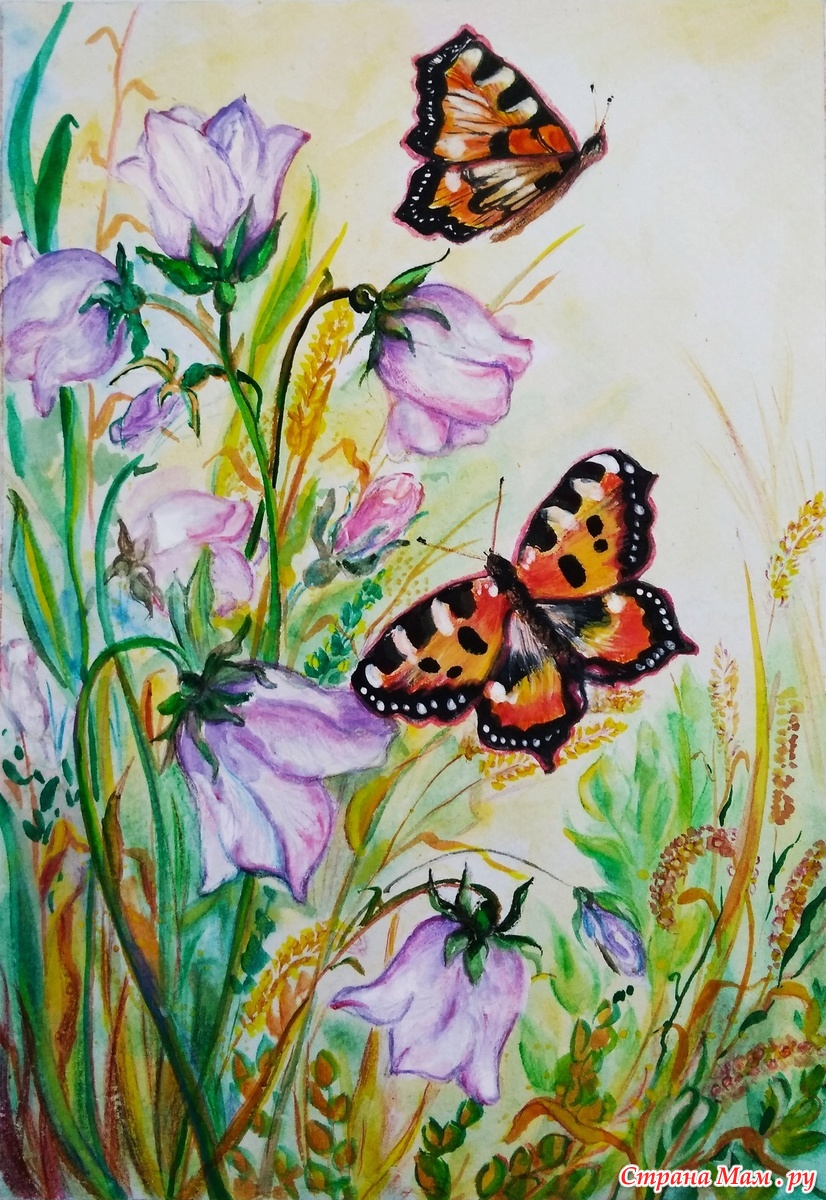 Бабочка на цветке акварель