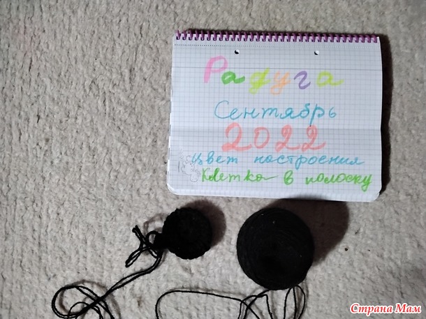 Игра авантюра Радуга Сентябрь. Цвет настроения Клеточка в полосочку. Шапочки в приют.