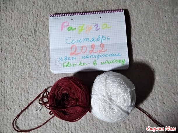 Игра авантюра Радуга Сентябрь. Цвет настроения Клеточка в полосочку. Шапочки в приют.