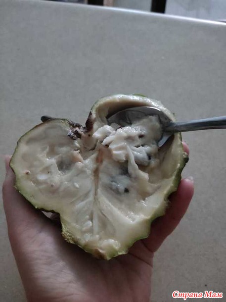 Подозрительные сочетания продуктов