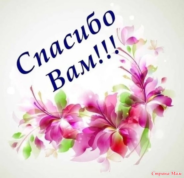 Итоги конкурса "Кот в мешке"