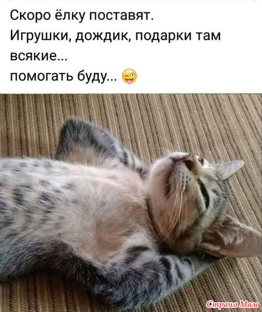  )