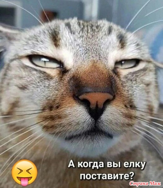  )