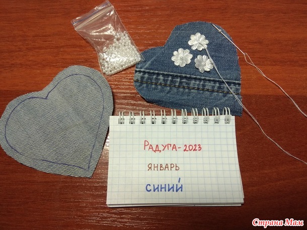 Радуга -2023. Январь. Игольница.