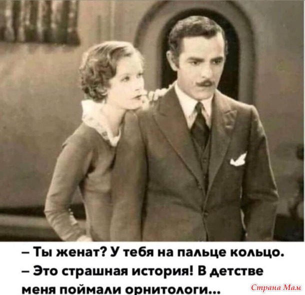    ))