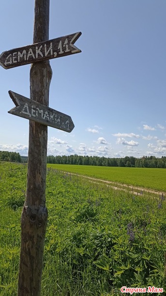 Отпуск, день третий
