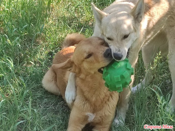 ����� � ���� �� �������� �����:)