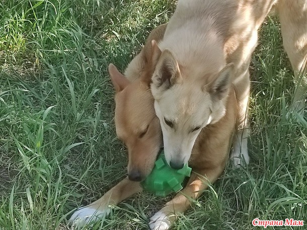 ����� � ���� �� �������� �����:)