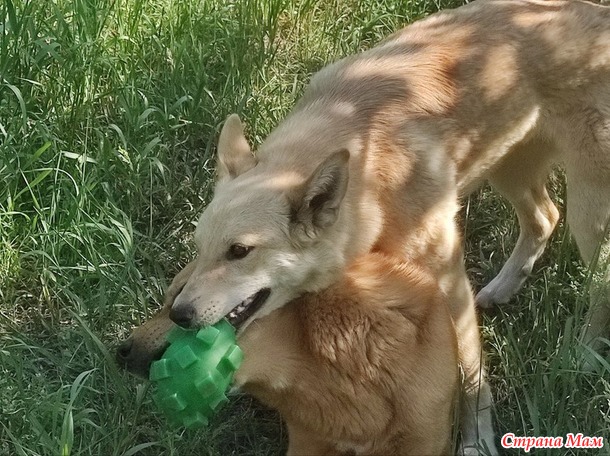 ����� � ���� �� �������� �����:)