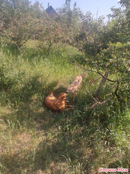 ����� � ���� �� �������� �����:)