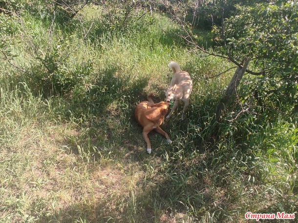 ����� � ���� �� �������� �����:)