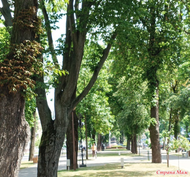 Поездка в Брест. Прогулка по городу.