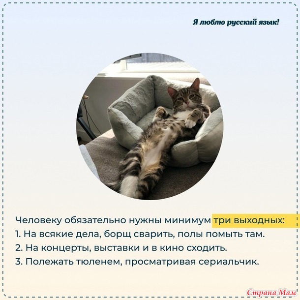  ,  ,  !!!))