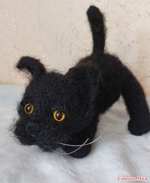 Чёрные котики