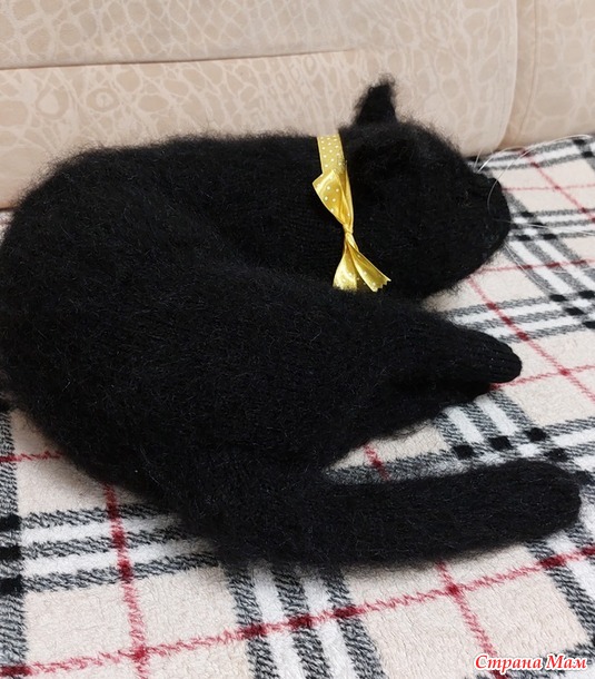 Чёрные котики